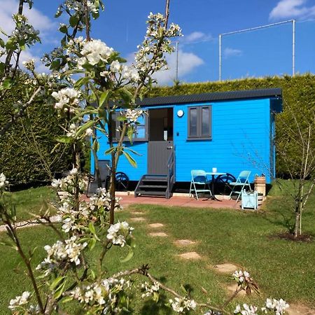 Atlantic Way Shepherd Hut Moville Esterno foto