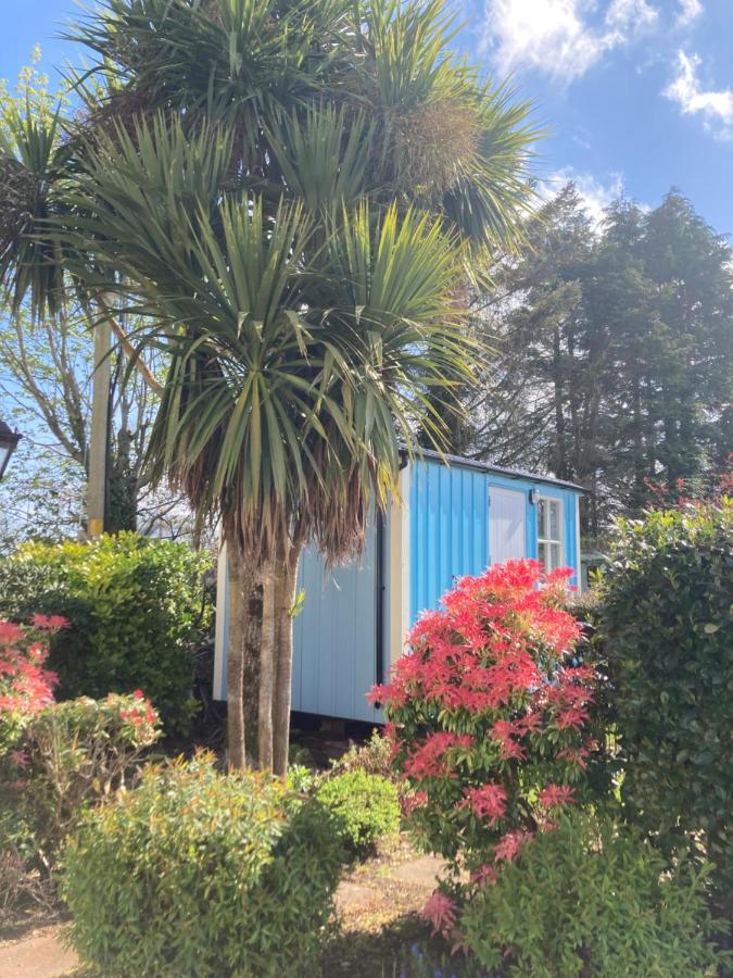 Atlantic Way Shepherd Hut Moville Esterno foto